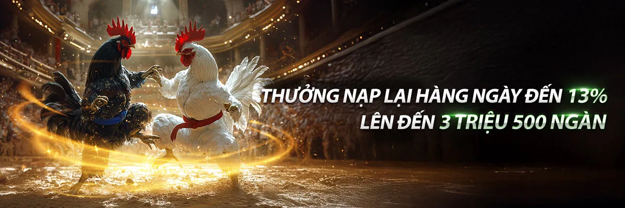 Đá Gà Trực Tuyến Hấp Dẫn tại 5699 com