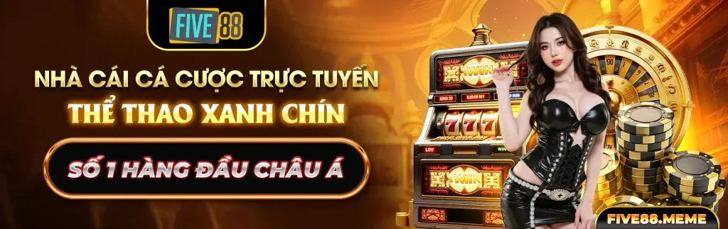 Chính sách Cookie của 5699 com, bảo vệ dữ liệu người dùng